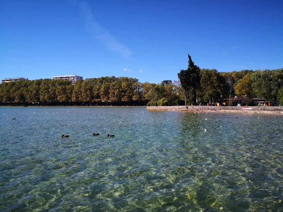 Studio Moderne, Place Parking Prive, Emplacement Ideal A 100 M Du Lac. Άννεσι Εξωτερικό φωτογραφία
